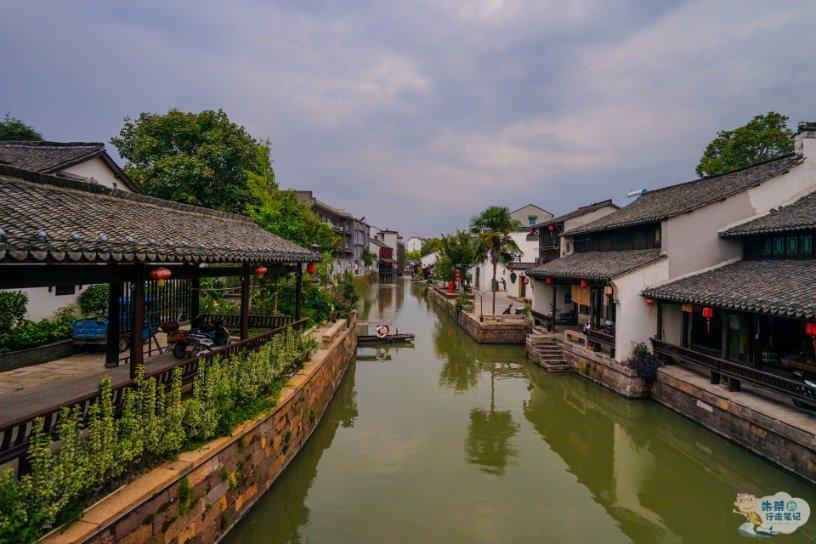 探索蜗牛世界,快乐参与清明在浏阳石柱峰上发现颗奇怪的植物,有人认识是什么植物吗问答!